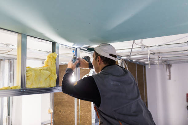 Best Energy-efficient Insulation  in Warren, OH