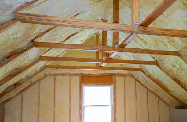 Best Insulation for New Construction  in Warren, OH