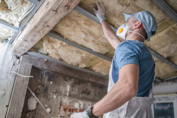 Best Home Insulation Services  in Warren, OH
