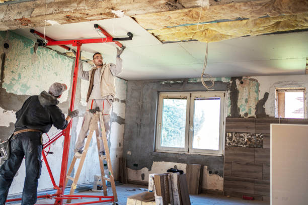 Best Attic Insulation Installation  in Warren, OH