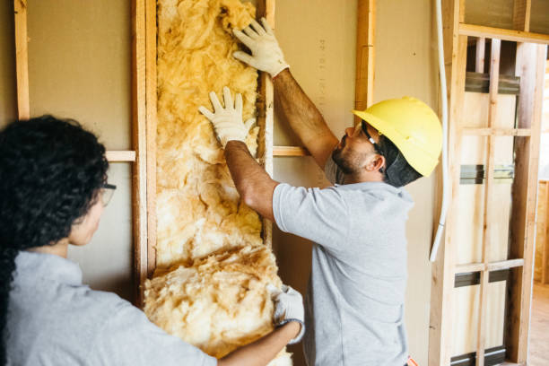 Best Insulation Contractor Near Me  in Warren, OH