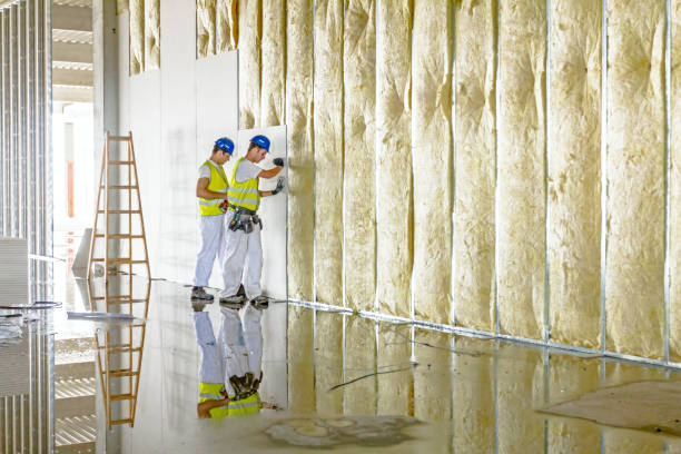 Insulation Inspection Services in Warren, OH